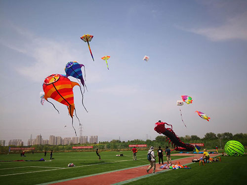 第七届北京国际风筝节园博园举行