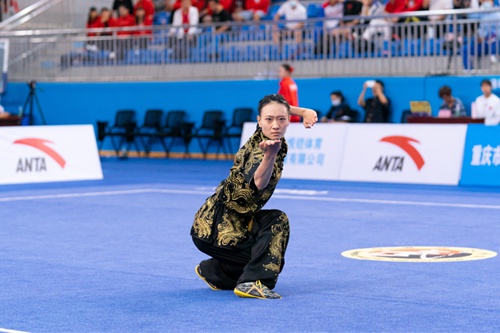 全运会武术套路资格赛第五日:一日诞生双金 姚洋汤露夺魁