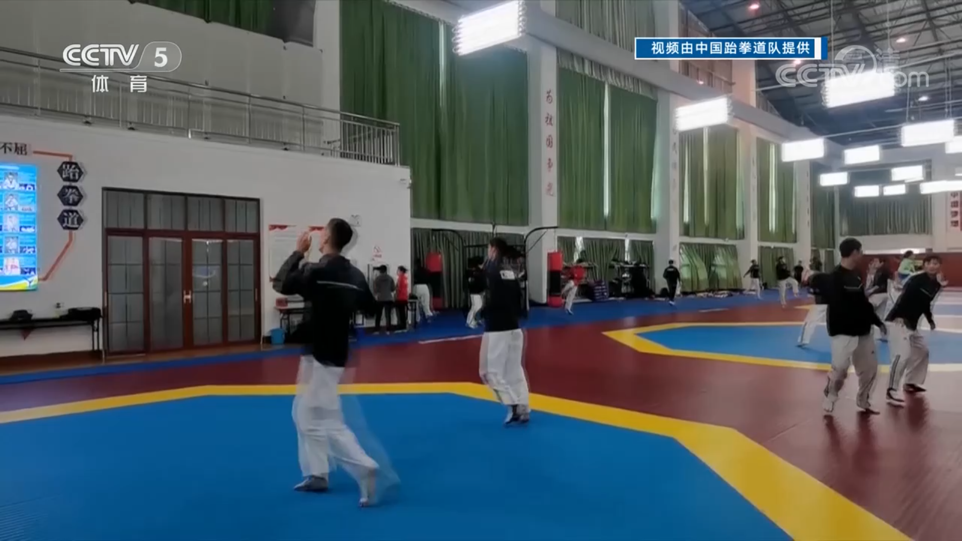 中国跆拳道队：备战奥运不停训