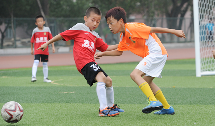 校园足球特色校与青少年业余足球俱乐部共生发展研究